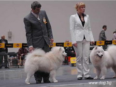 Puppy 10092006